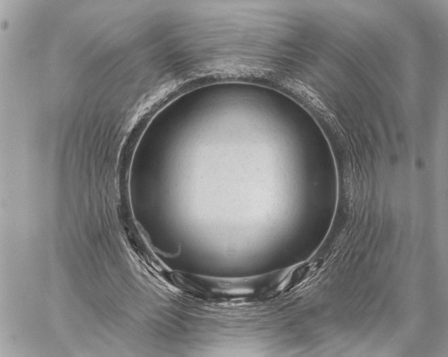 X0000059100488200510211636