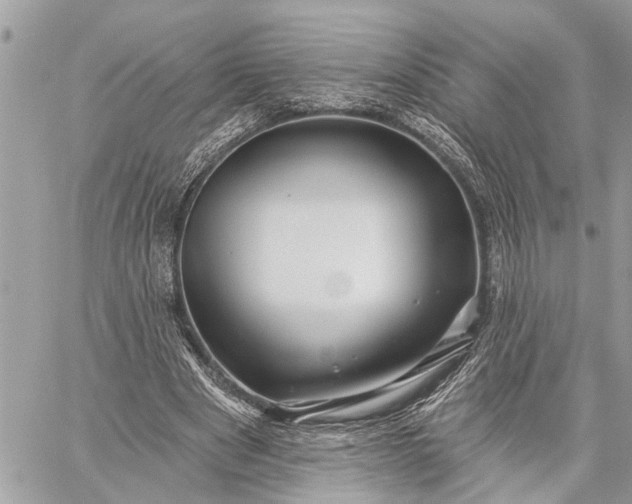 X0000059100489200510211636