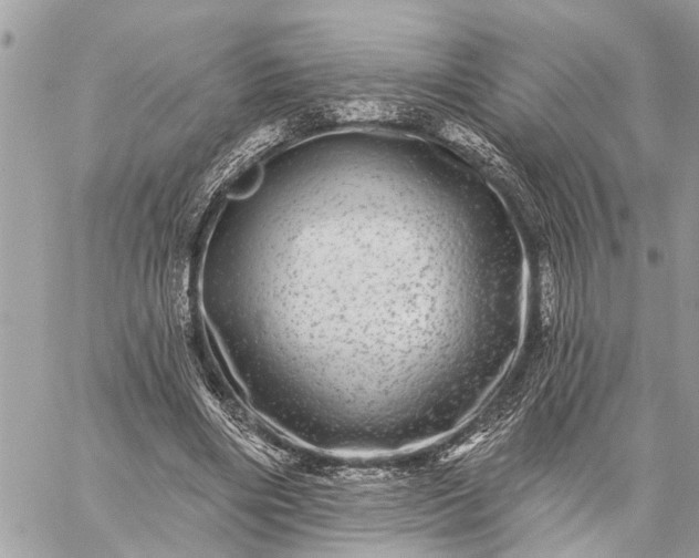 X0000059100490200510211636