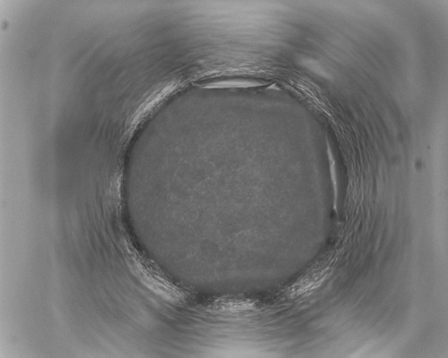 X0000059100491200510211636