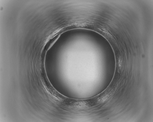 X0000059100492200510211636