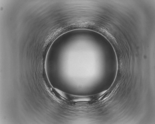 X0000059100493200510211636