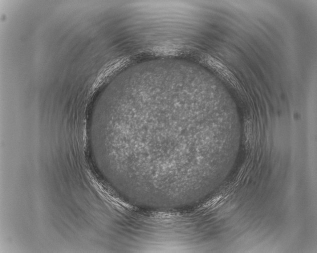 X0000059100494200510211636