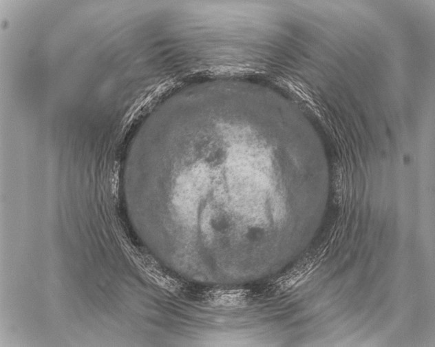 X0000059100495200510211636