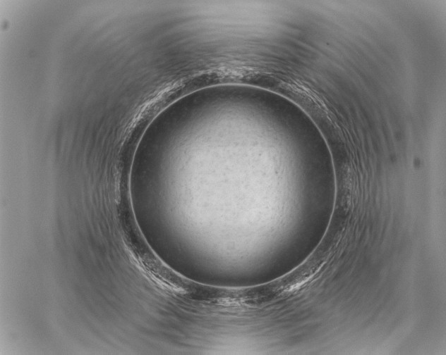 X0000059100496200510211636