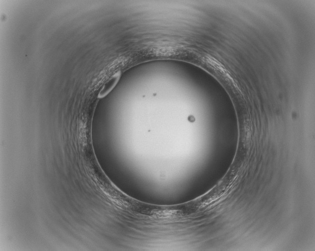 X0000059100497200510211636