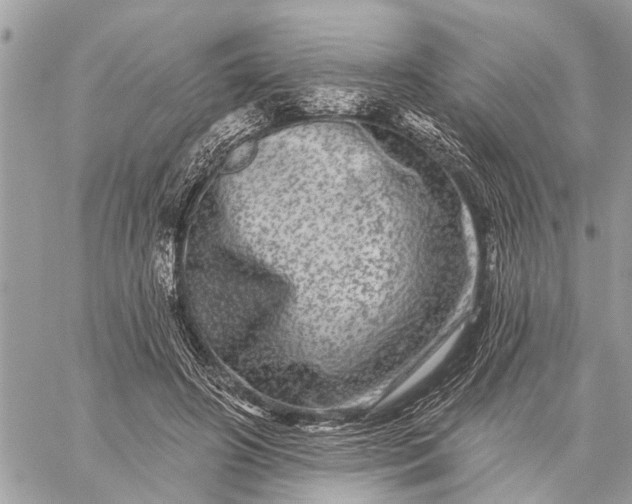 X0000059100498200510211636