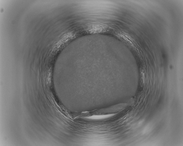 X0000059100499200510211636