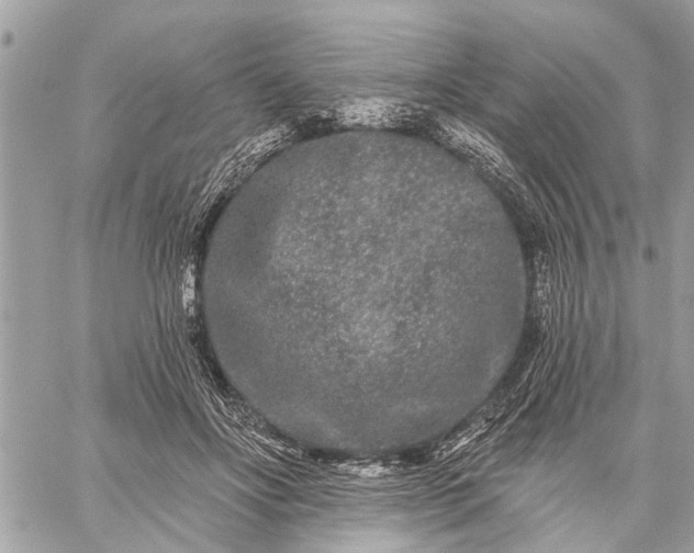 X0000059100502200510211636