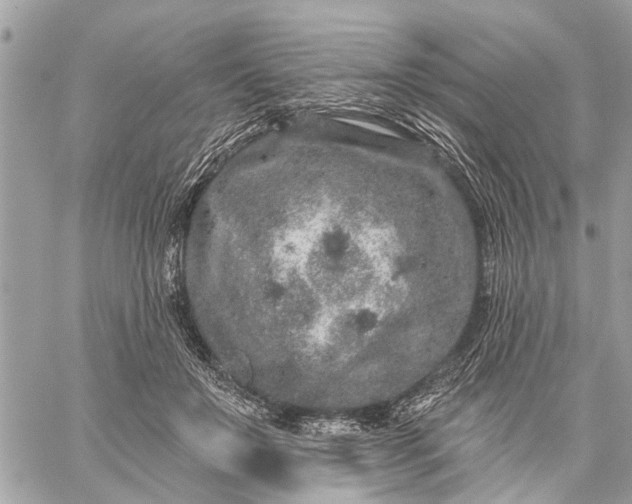 X0000059100503200510211636