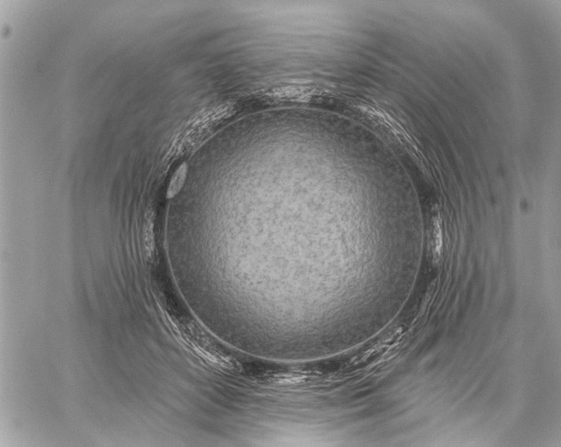 X0000059100504200510211636