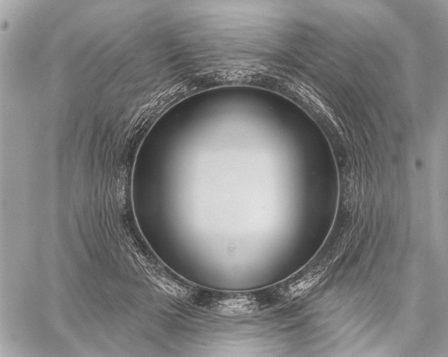 X0000059100505200510211636