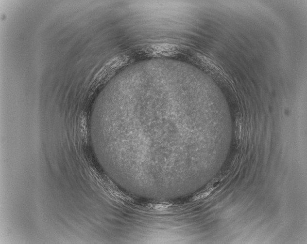 X0000059100506200510211636