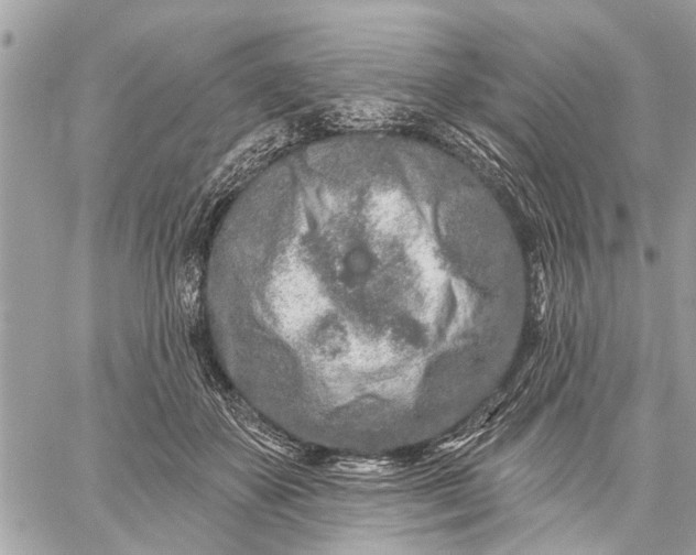 X0000059100507200510211636