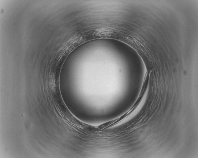 X0000059100508200510211636