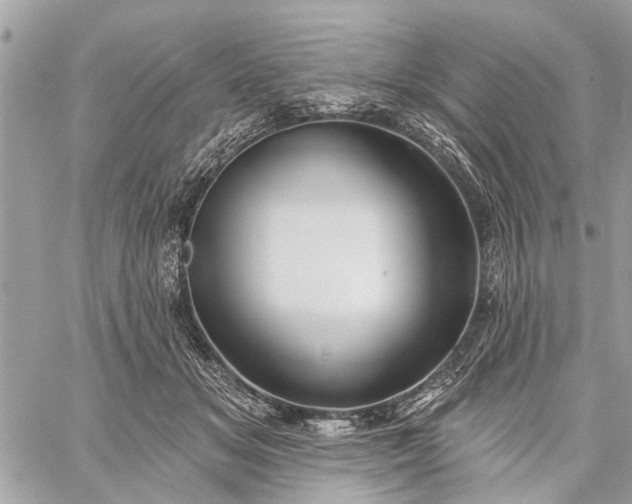 X0000059100509200510211636