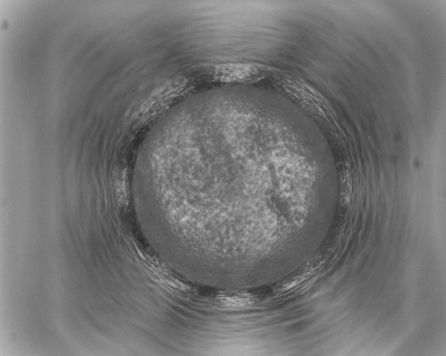 X0000059100510200510211636