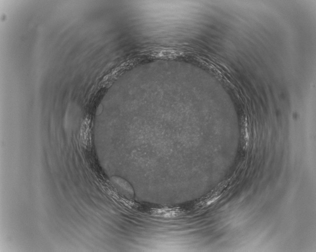 X0000059100511200510211636