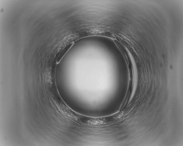 X0000059100512200510211636