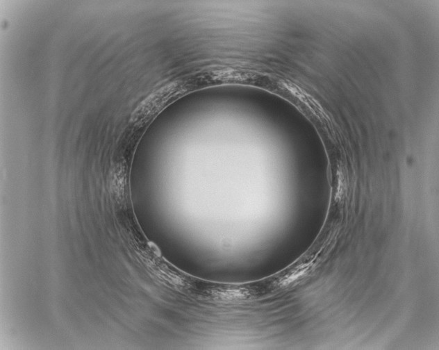 X0000059100513200510211636