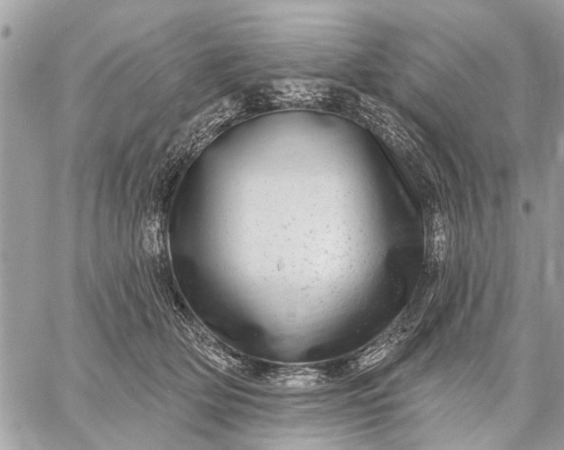 X0000059100514200510211636