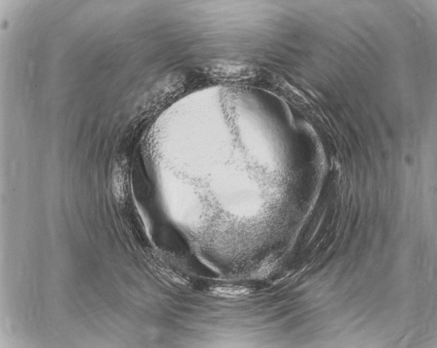 X0000059100515200510211636