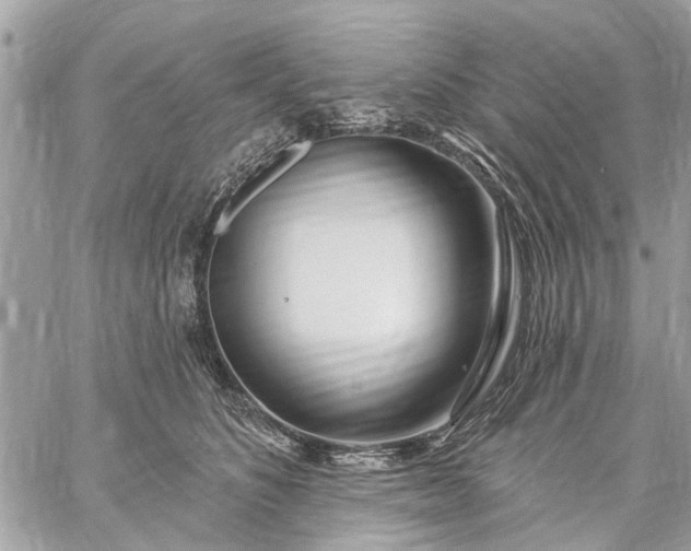 X0000059100516200510211636