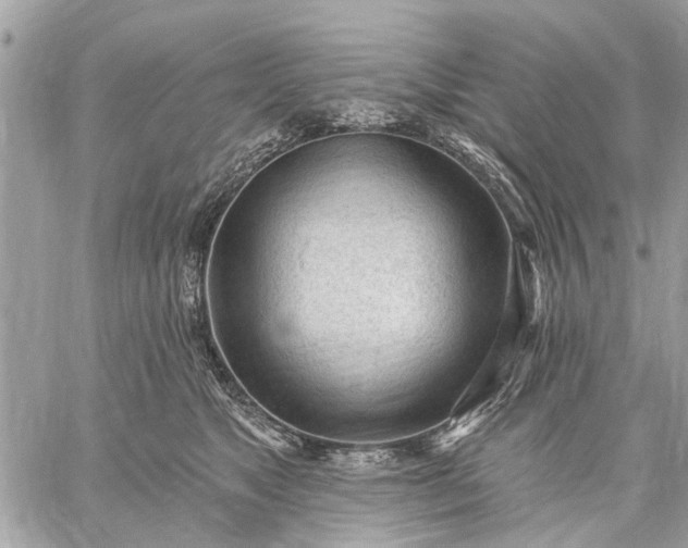 X0000059100517200510211636