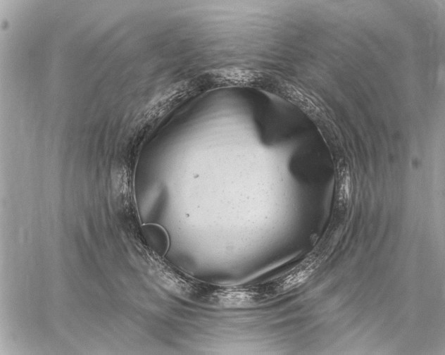 X0000059100518200510211636