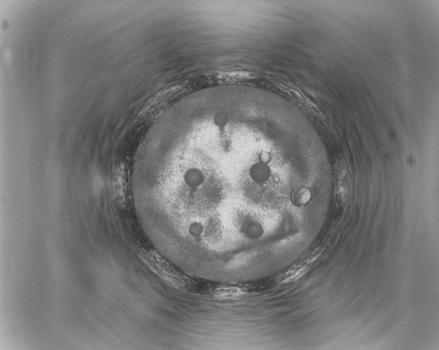 X0000059100519200510211636