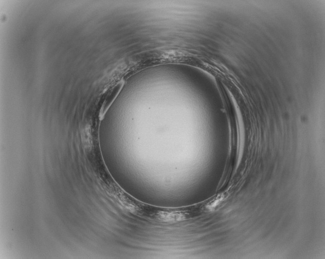 X0000059100520200510211636