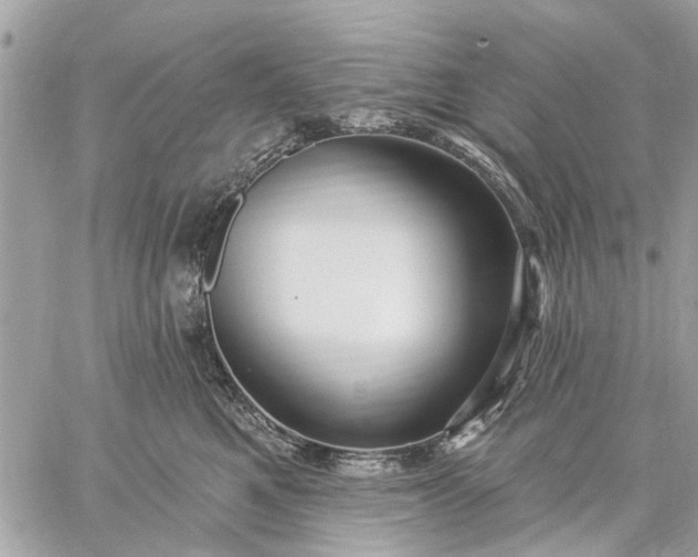 X0000059100521200510211635