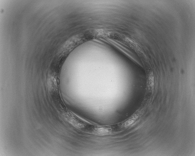 X0000059100522200510211635