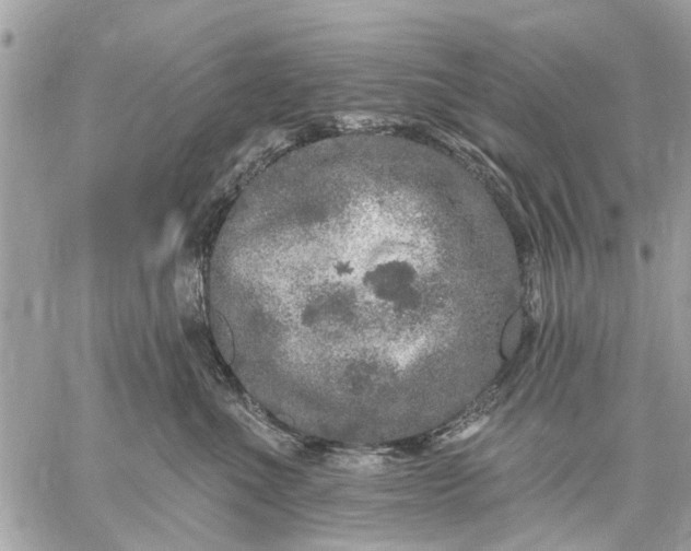 X0000059100523200510211635