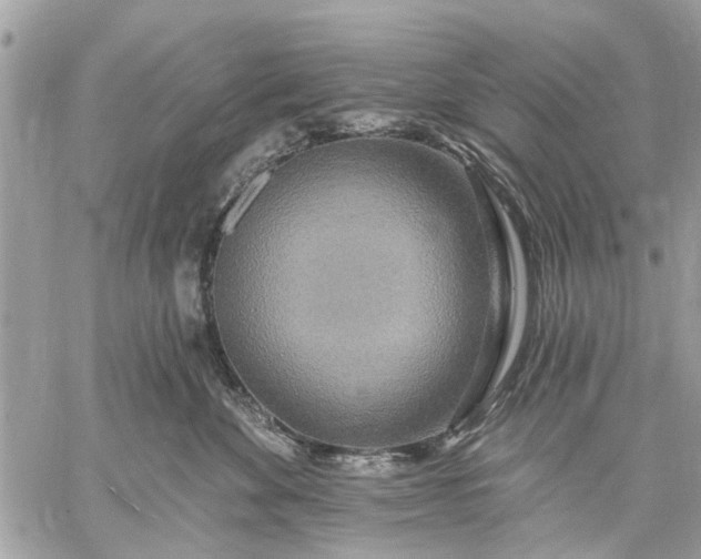 X0000059100524200510211635