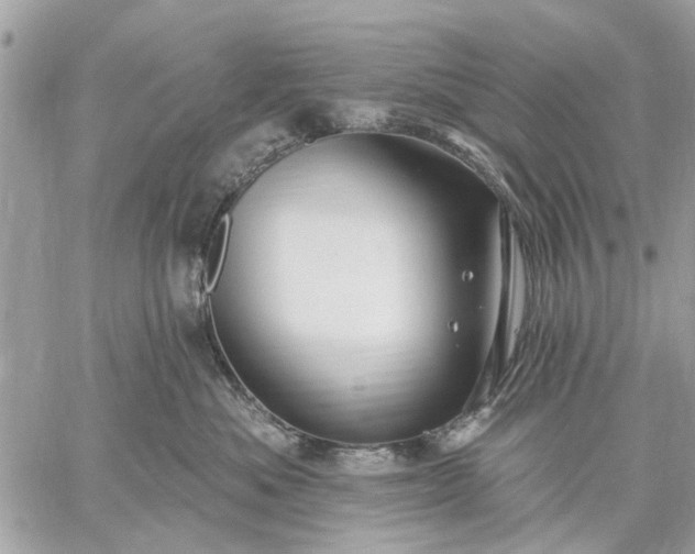 X0000059100525200510211635