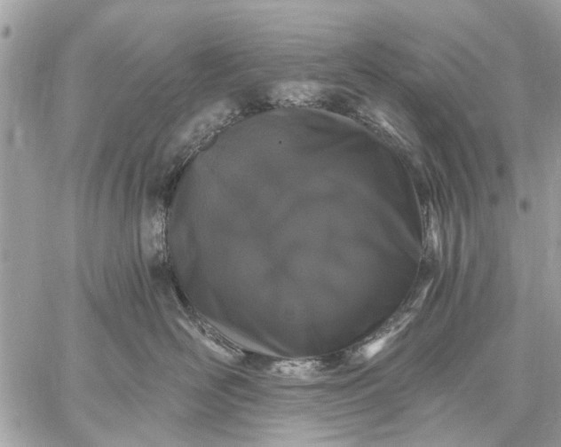 X0000059100526200510211635