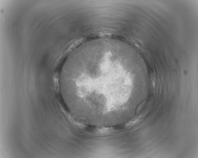 X0000059100527200510211635