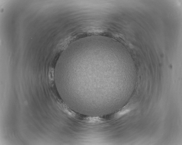 X0000059100528200510211635