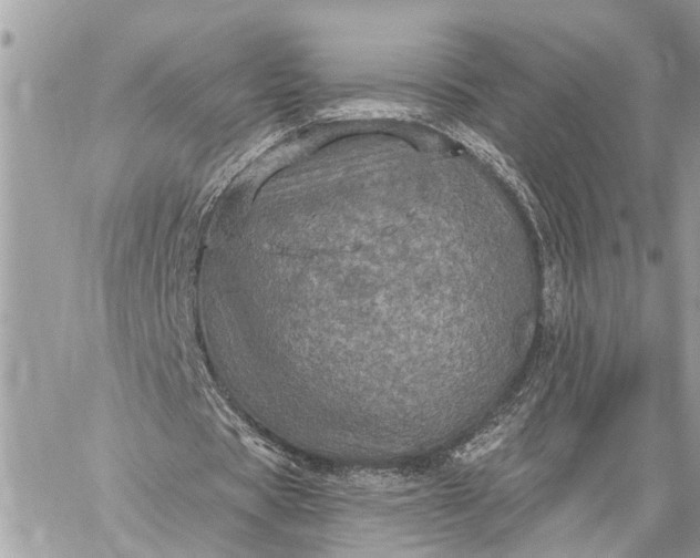 X0000059100529200510211635