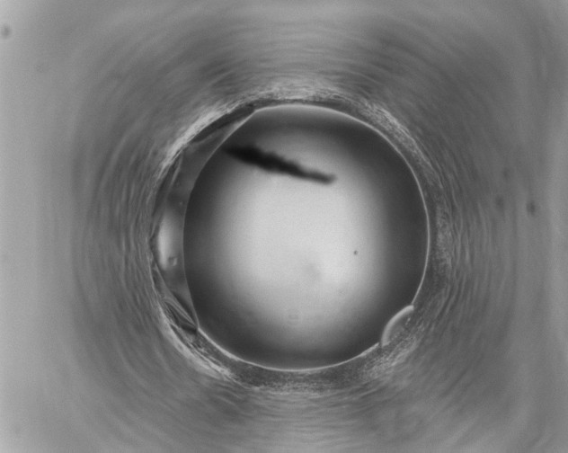 X0000059100530200510211635