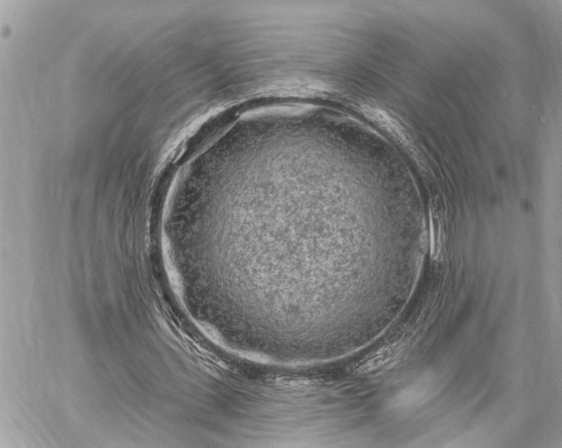 X0000059100531200510211635