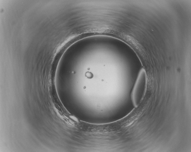 X0000059100532200510211635