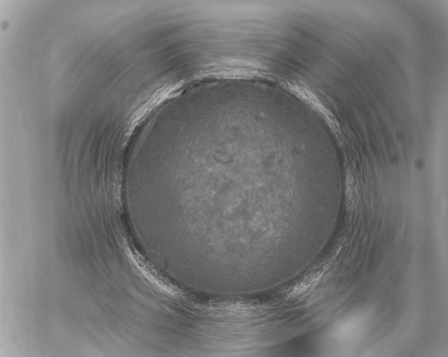 X0000059100533200510211635