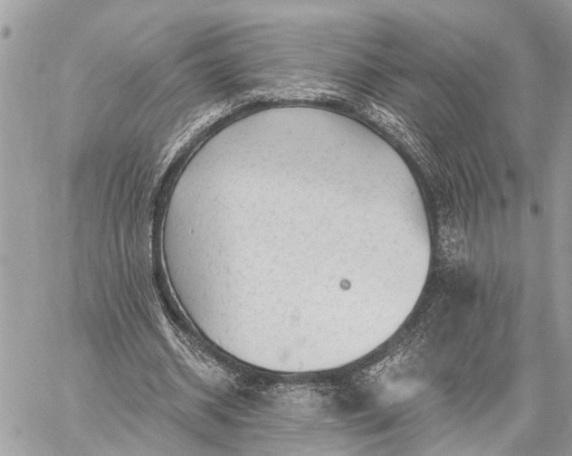 X0000059100534200510211635