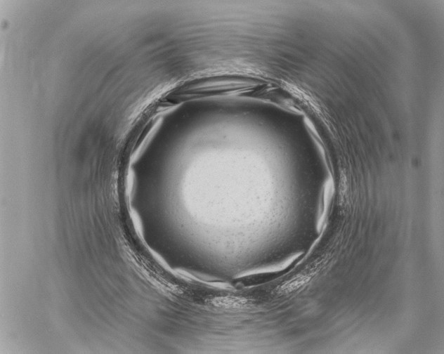 X0000059100535200510211635