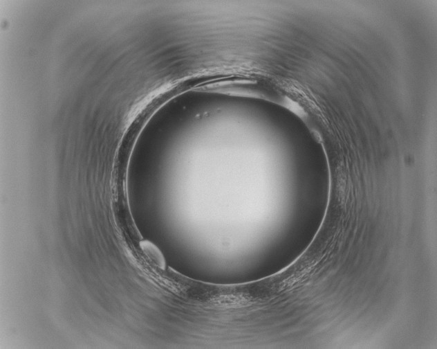 X0000059100536200510211635