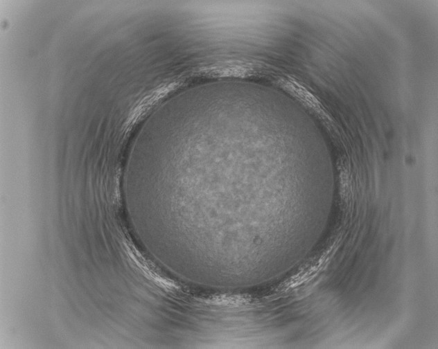 X0000059100537200510211635