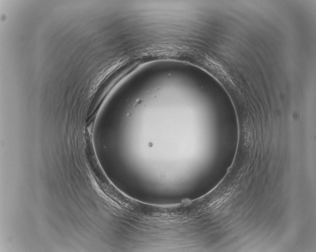 X0000059100538200510211635