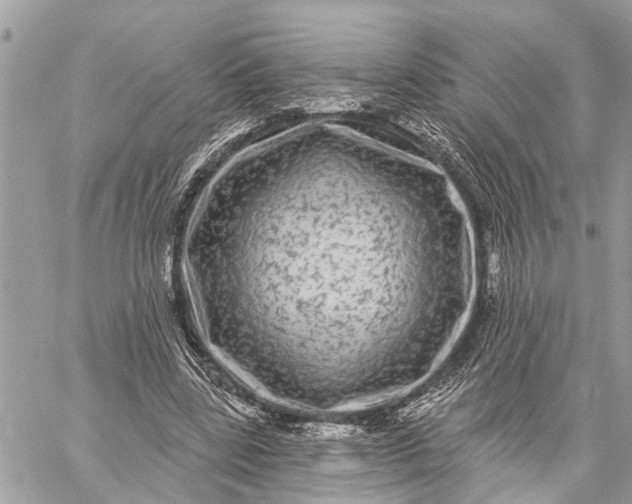 X0000059100539200510211635